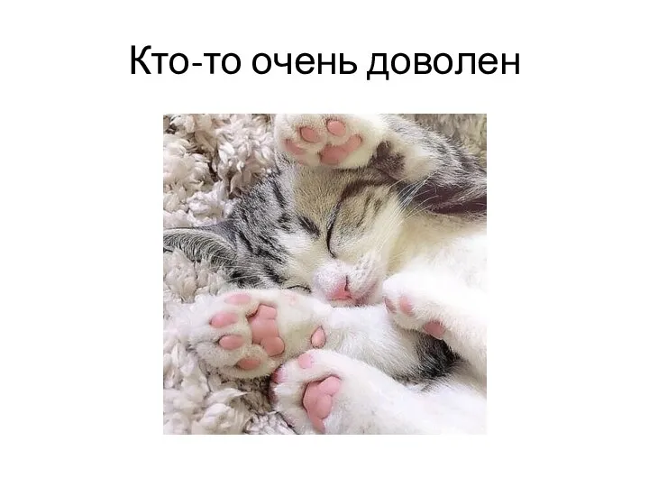 Кто-то очень доволен