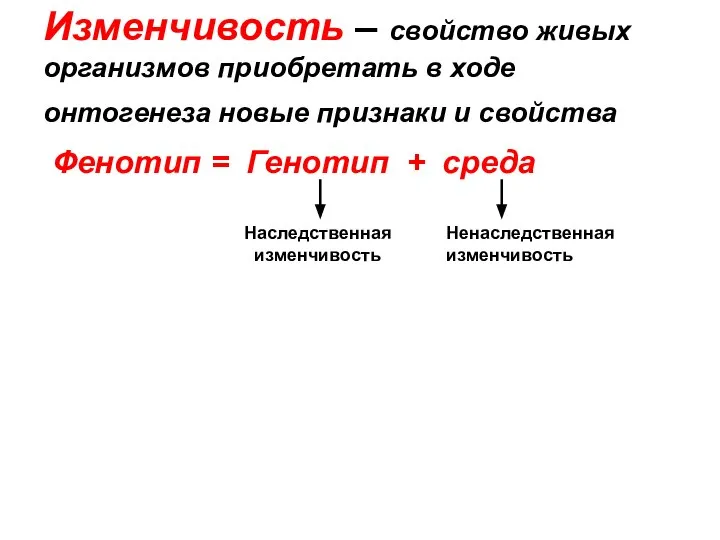 Изменчивость – свойство живых организмов приобретать в ходе онтогенеза новые признаки и