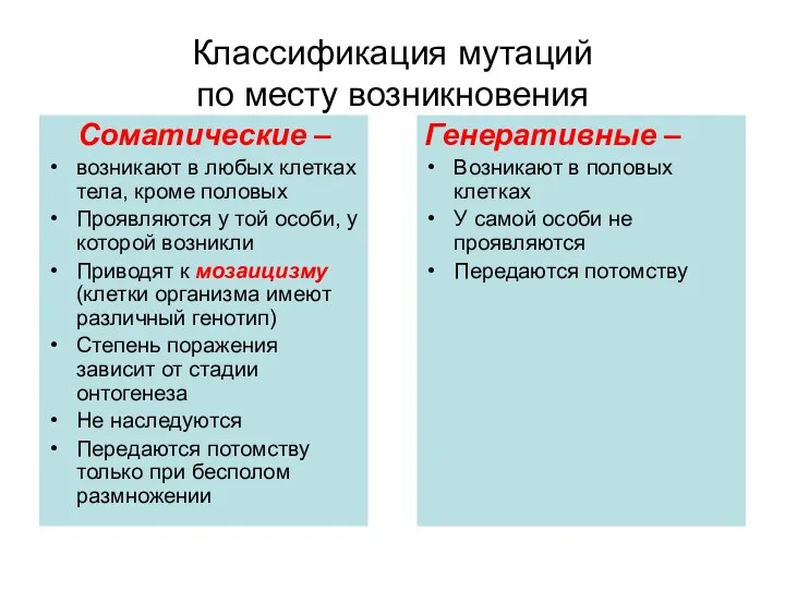 Классификация мутаций по месту возникновения Соматические – возникают в любых клетках тела,