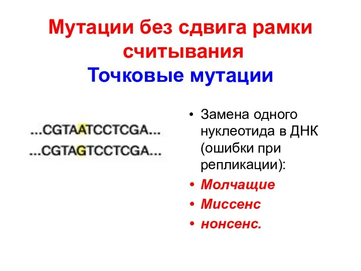 Мутации без сдвига рамки считывания Точковые мутации Замена одного нуклеотида в ДНК