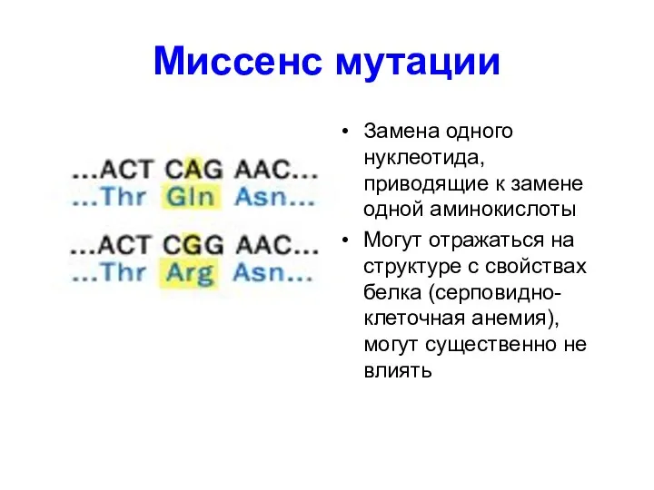 Миссенс мутации Замена одного нуклеотида, приводящие к замене одной аминокислоты Могут отражаться