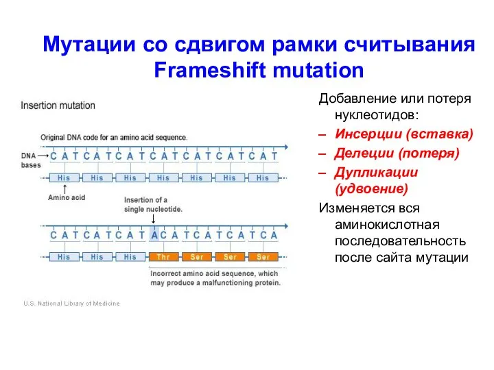 Мутации со сдвигом рамки считывания Frameshift mutation Добавление или потеря нуклеотидов: Инсерции