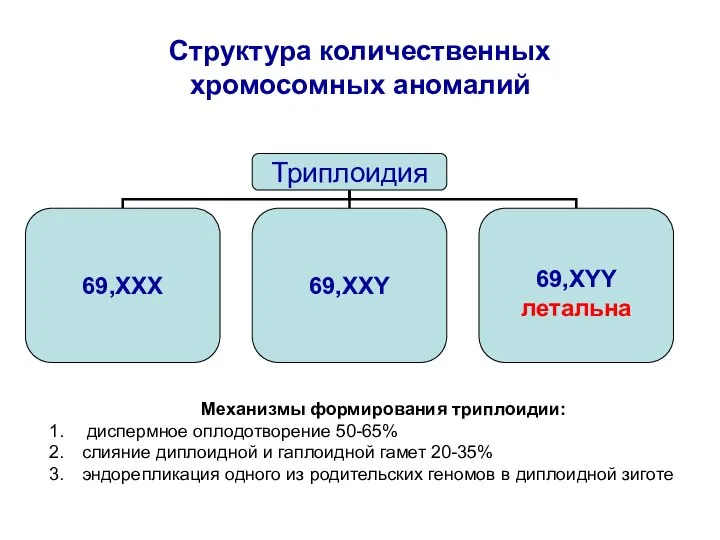 Структура количественных хромосомных аномалий Механизмы формирования триплоидии: диспермное оплодотворение 50-65% слияние диплоидной