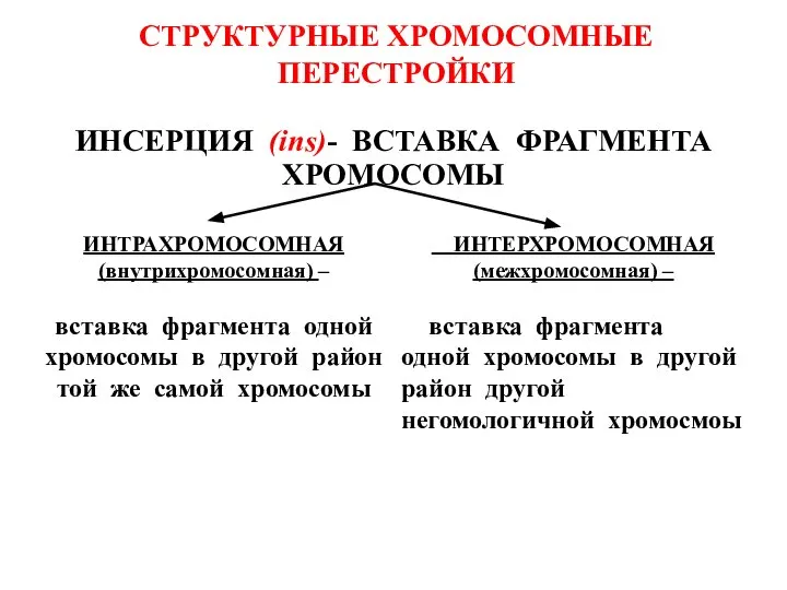 СТРУКТУРНЫЕ ХРОМОСОМНЫЕ ПЕРЕСТРОЙКИ ИНСЕРЦИЯ (ins)- ВСТАВКА ФРАГМЕНТА ХРОМОСОМЫ