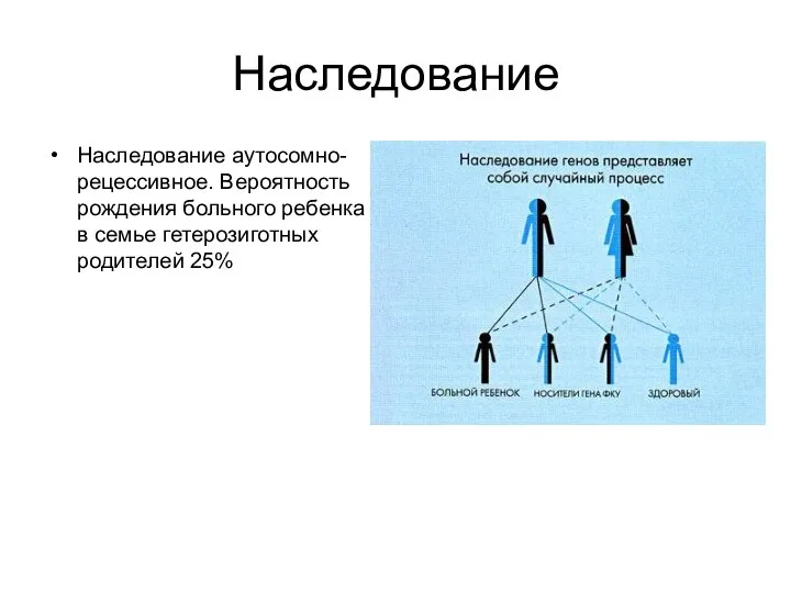 Наследование Наследование аутосомно-рецессивное. Вероятность рождения больного ребенка в семье гетерозиготных родителей 25%