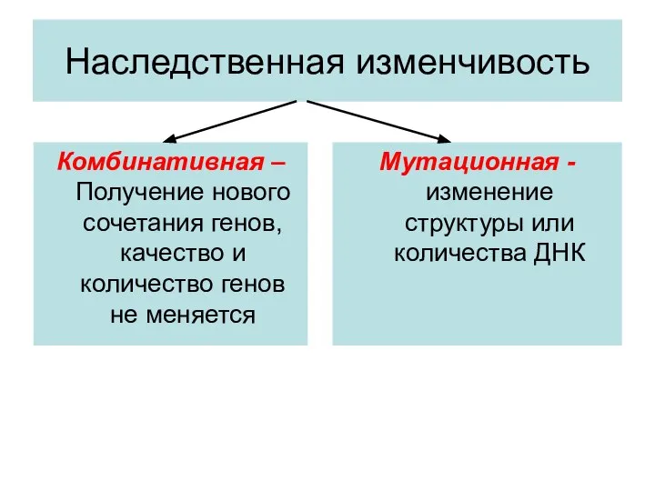 Наследственная изменчивость Комбинативная – Получение нового сочетания генов, качество и количество генов