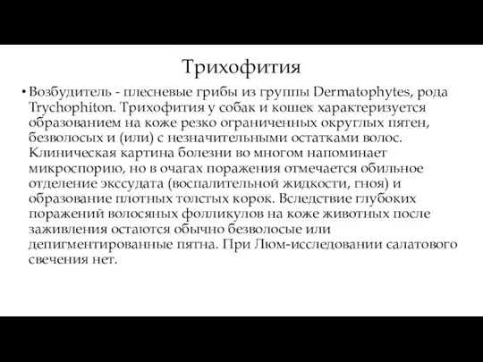 Трихофития Возбудитель - плесневые грибы из группы Dermatophytes, рода Trychophiton. Трихофития у