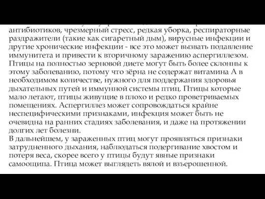 Использование иммуносупрессантов, длительное применение антибиотиков, чрезмерный стресс, редкая уборка, респираторные раздражители (такие