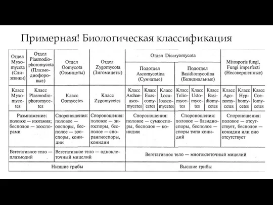 Примерная! Биологическая классификация