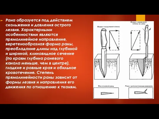 Рана образуется под действием скольжения и давления острого лезвия. Характерными особенностями являются