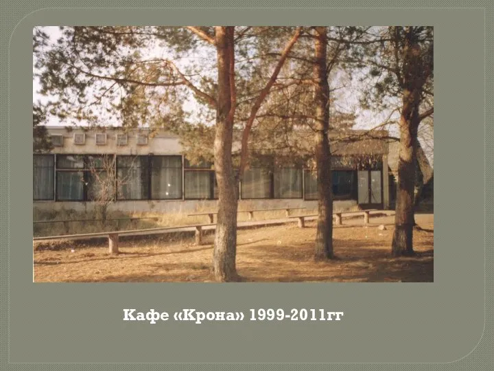 Кафе «Крона» 1999-2011гг