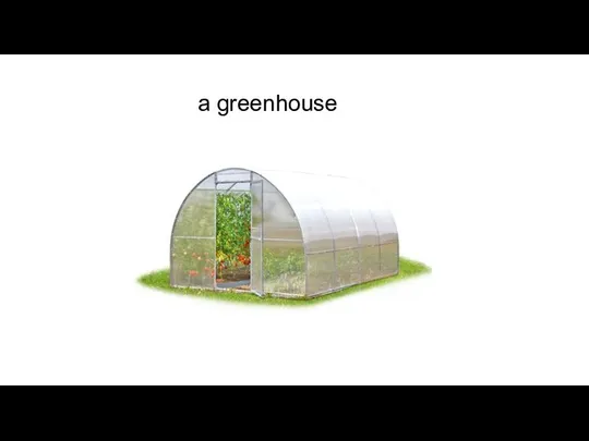 a greenhouse