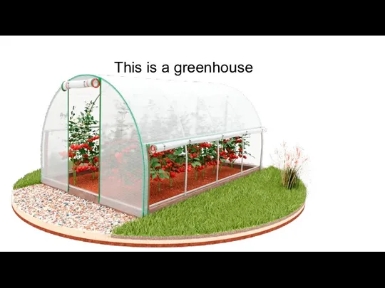 This is a greenhouse