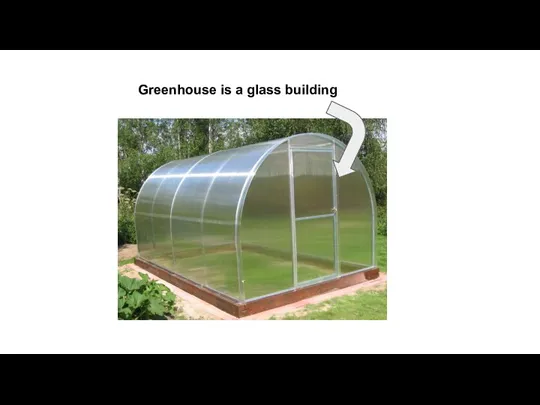 Greenhouse is a glass building