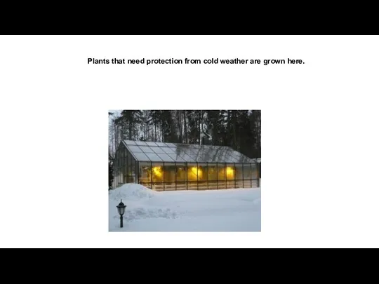 Plants that need protection from cold weather are grown here.