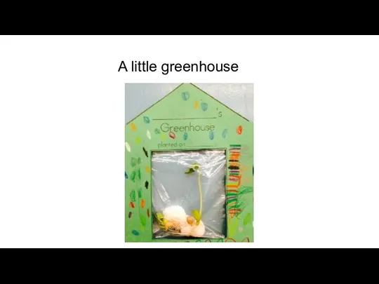 A little greenhouse