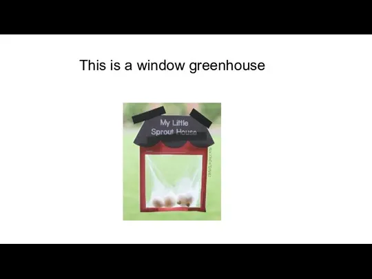This is a window greenhouse