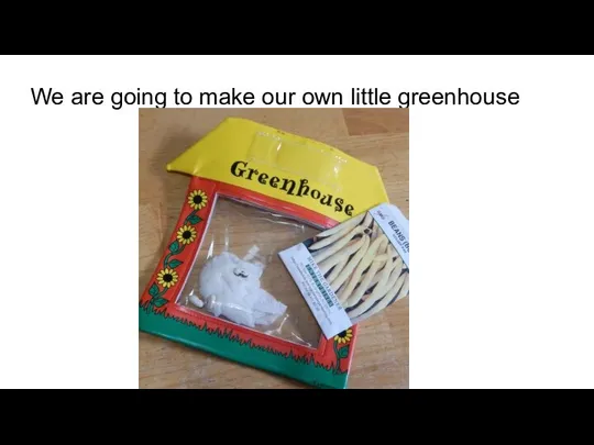 We are going to make our own little greenhouse