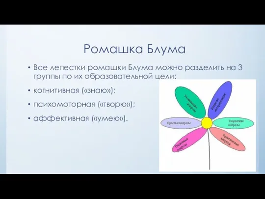 Ромашка Блума Все лепестки ромашки Блума можно разделить на 3 группы по