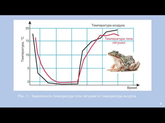 Рис. 3 – Зависимость температуры тела лягушки от температуры воздуха