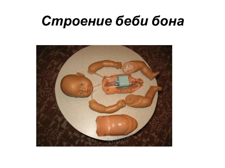 Строение беби бона