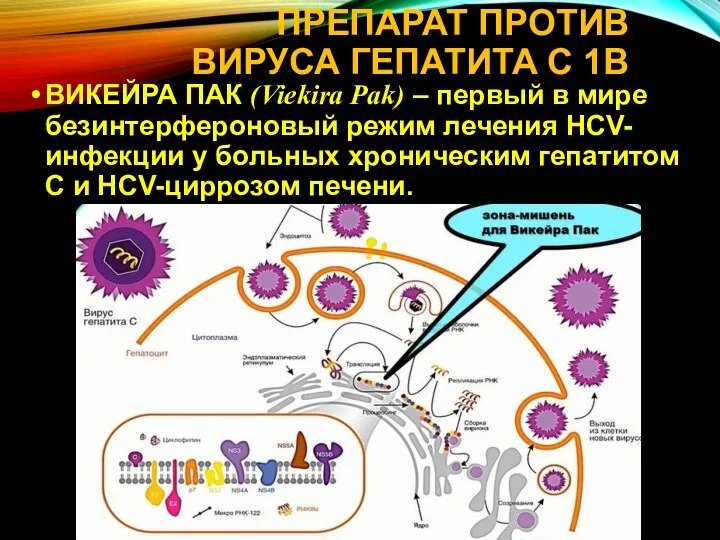 ПРЕПАРАТ ПРОТИВ ВИРУСА ГЕПАТИТА С 1B ВИКЕЙРА ПАК (Viekira Pak) – первый