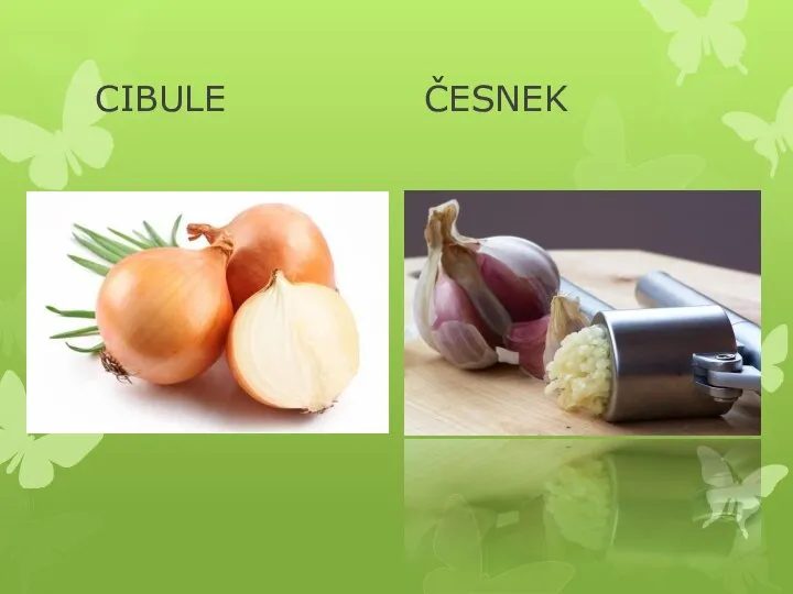 CIBULE ČESNEK