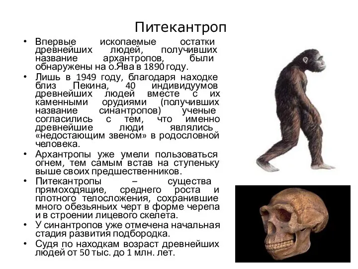 Питекантроп Впервые ископаемые остатки древнейших людей, получивших название архантропов, были обнаружены на