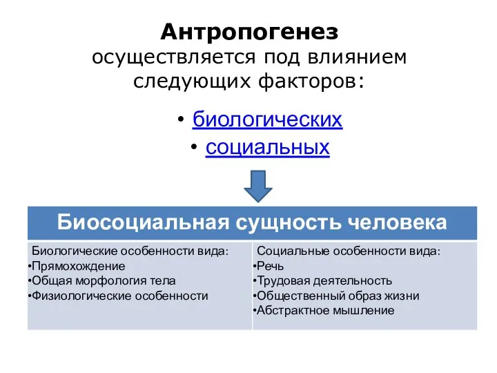 Антропогенез осуществляется под влиянием следующих факторов: биологических социальных