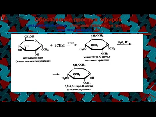 Образование простых эфиров реакционный центр - спиртовые гидроксилые группы, механизм реакции - SN
