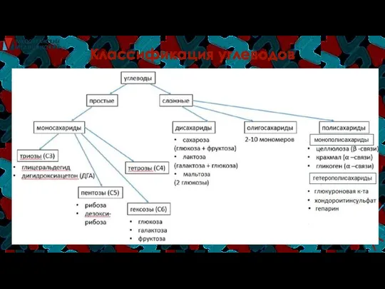 Классификация углеводов