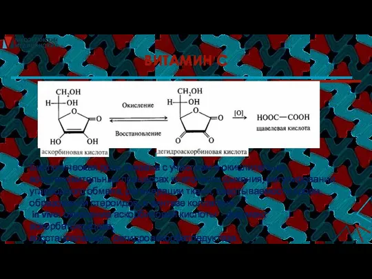 ВИТАМИН С Биологическая роль связана с участием в окислительно-восстановительных процессах клеточного дыхания,