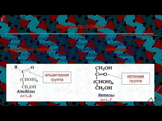 Моносахариды Моносахариды классифицируют с учетом природы карбонильной группы и длины углеродной цепи.