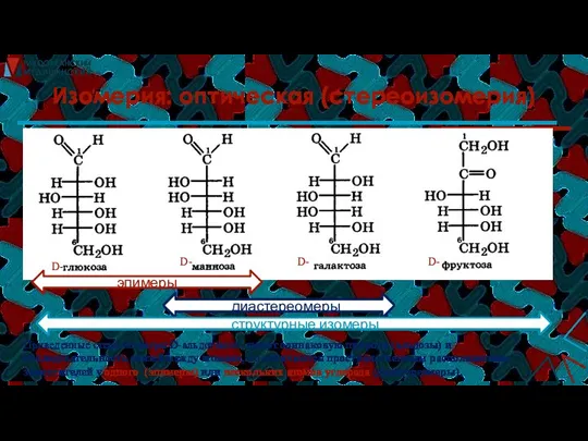 Изомерия: оптическая (стереоизомерия) D- D- D- D- Приведенные стериоизомеры D-альдогексоз имеют одинаковую