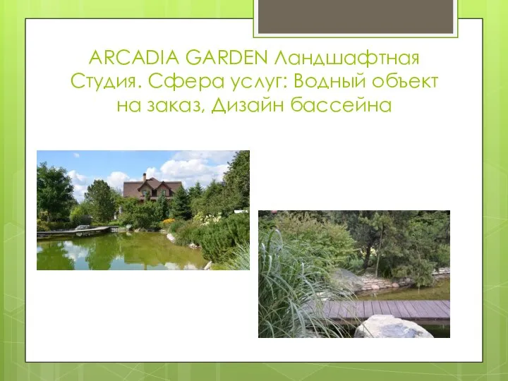 ARCADIA GARDEN Ландшафтная Студия. Сфера услуг: Водный объект на заказ, Дизайн бассейна