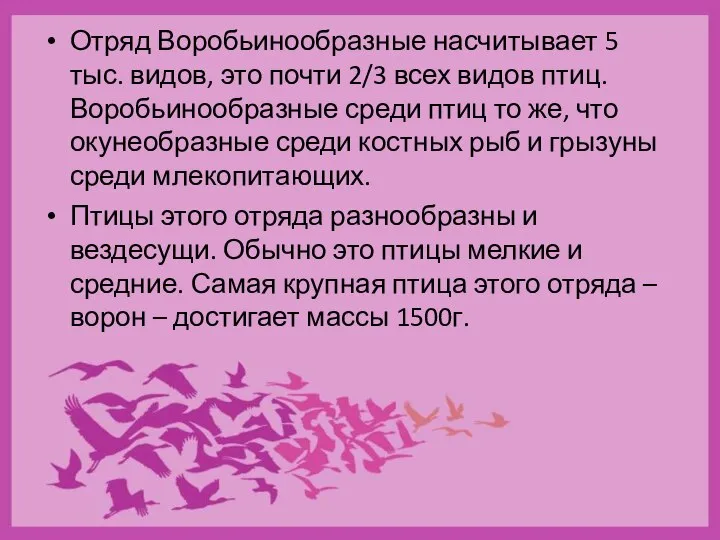 Отряд Воробьинообразные насчитывает 5 тыс. видов, это почти 2/3 всех видов птиц.