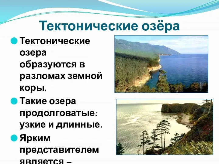 Тектонические озёра Тектонические озера образуются в разломах земной коры. Такие озера продолговатые: