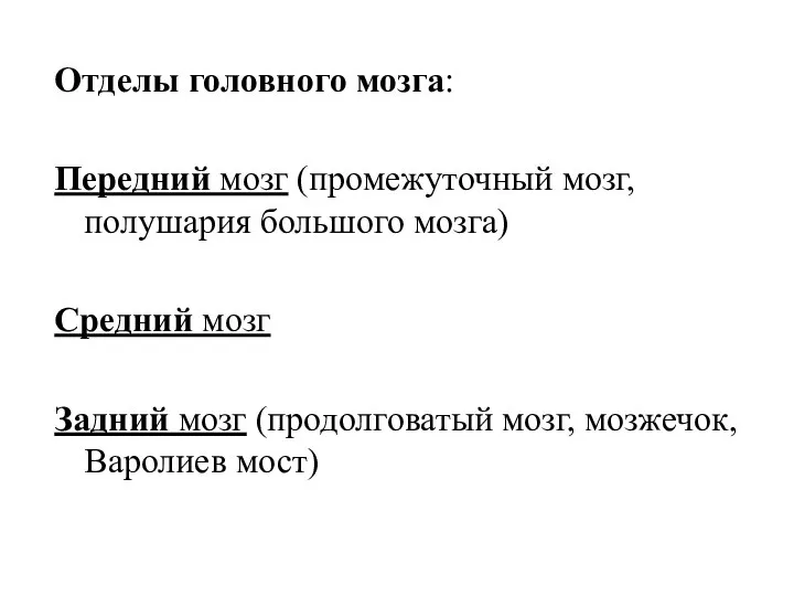 Отделы головного мозга: Передний мозг (промежуточный мозг, полушария большого мозга) Средний мозг