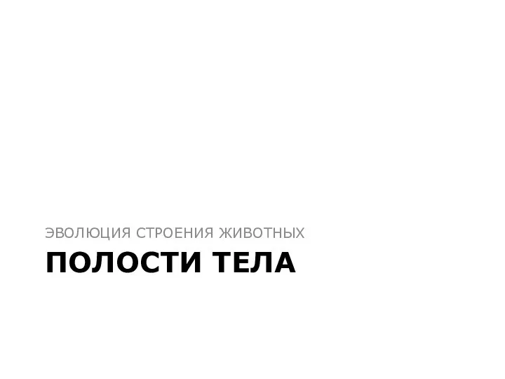 ПОЛОСТИ ТЕЛА ЭВОЛЮЦИЯ СТРОЕНИЯ ЖИВОТНЫХ