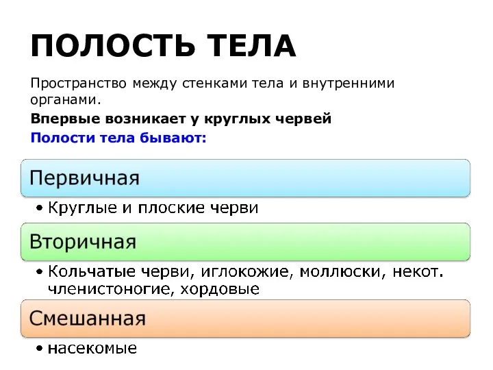 ПОЛОСТЬ ТЕЛА Пространство между стенками тела и внутренними органами. Впервые возникает у