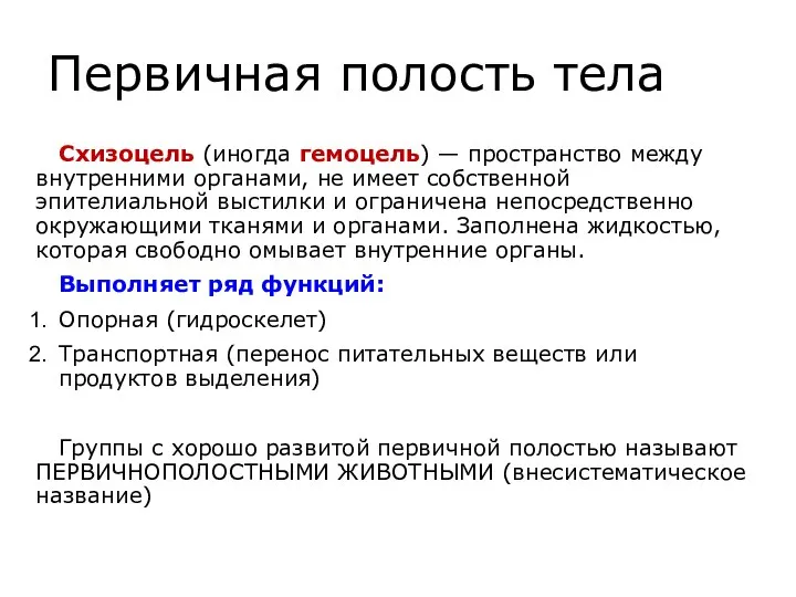 Первичная полость тела Схизоцель (иногда гемоцель) — пространство между внутренними органами, не