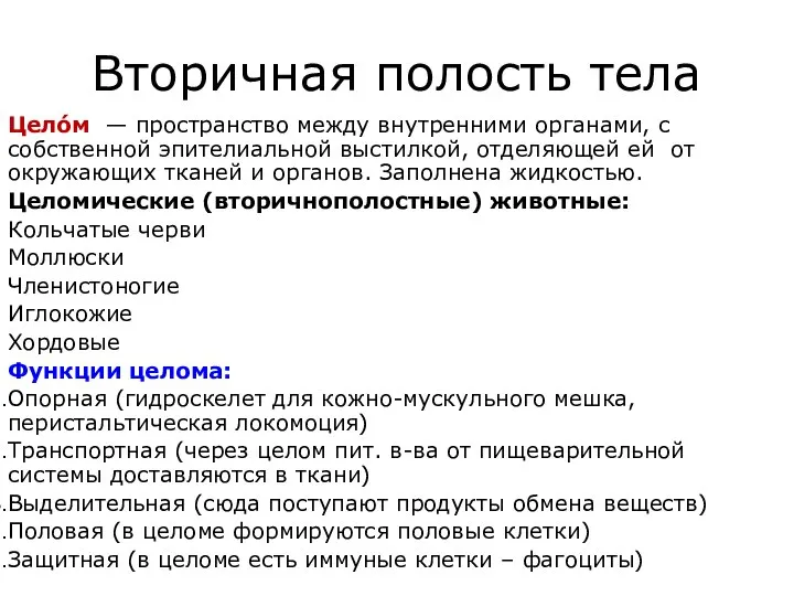 Вторичная полость тела Цело́м — пространство между внутренними органами, с собственной эпителиальной