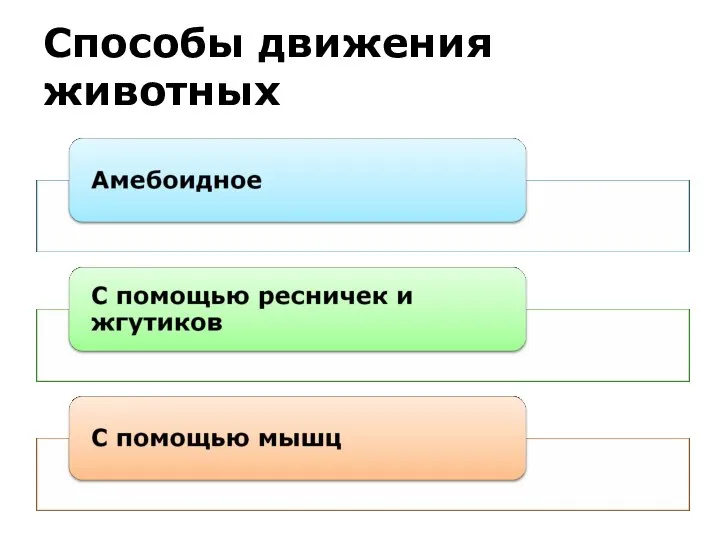 Способы движения животных