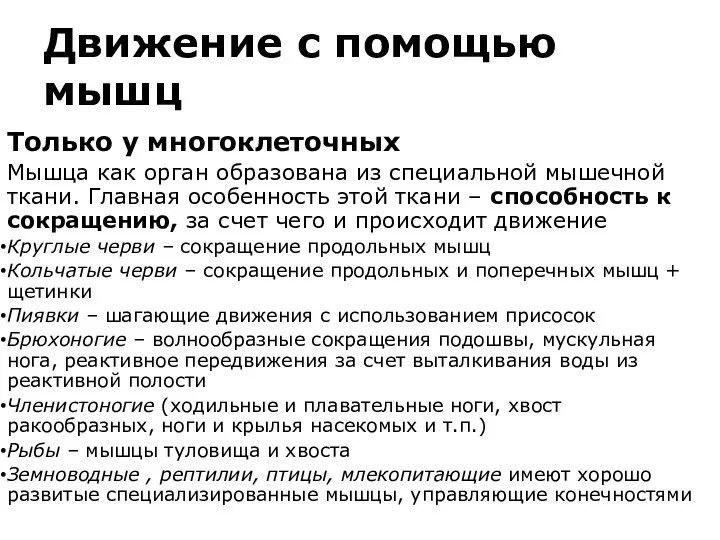 Движение с помощью мышц Только у многоклеточных Мышца как орган образована из