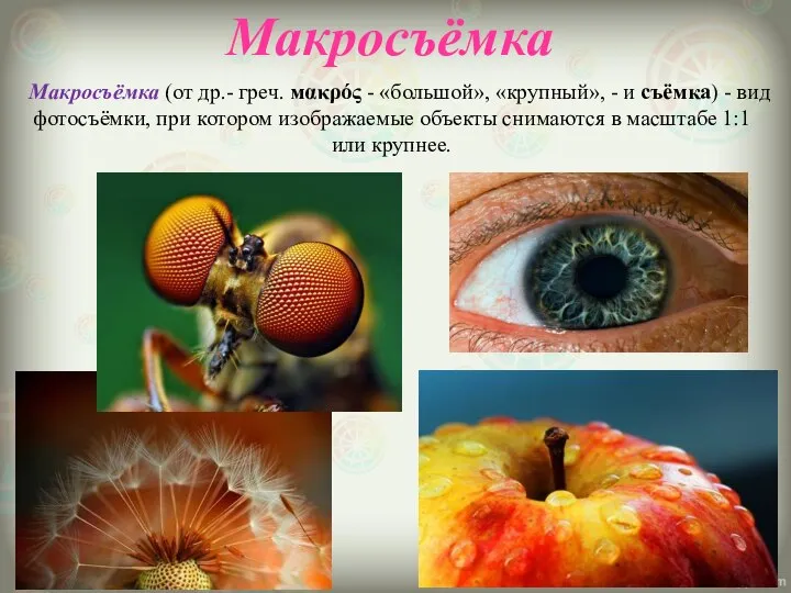 Макросъёмка Макросъёмка (от др.- греч. мακρός - «большой», «крупный», - и съёмка)