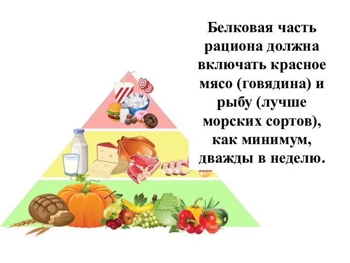 Белковая часть рациона должна включать красное мясо (говядина) и рыбу (лучше морских