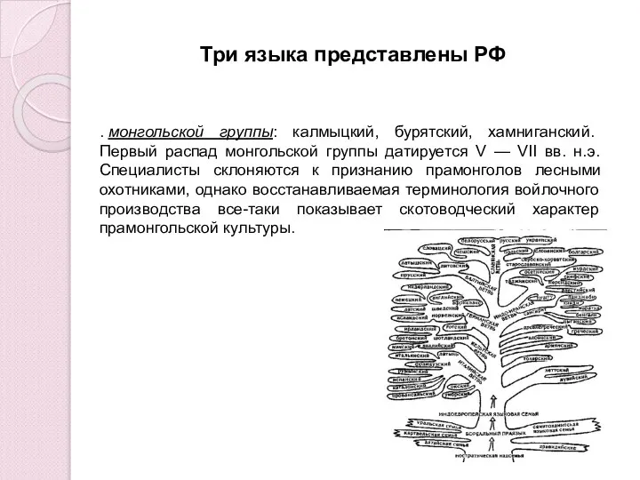 . монгольской группы: калмыцкий, бурятский, хамниганский. Первый распад монгольской группы датируется V