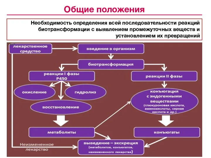 Необходимость определения всей последовательности реакций биотрансформации с выявлением промежуточных веществ и установлением