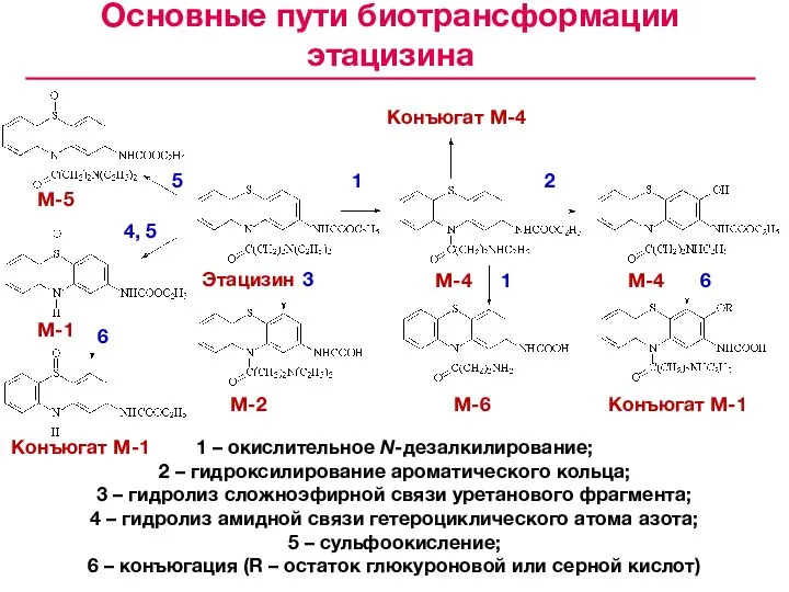 Конъюгат М-4 М-6 Конъюгат М-1 М-4 М-4 Этацизин М-2 М-1 М-5 Конъюгат