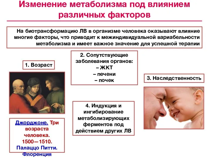 На биотрансформацию ЛВ в организме человека оказывают влияние многие факторы, что приводит